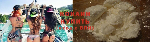 прущие грибы Белая Холуница