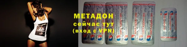 прущие грибы Белая Холуница