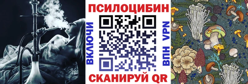 Галлюциногенные грибы мухоморы купить закладку omg Кашира